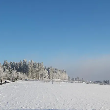 Welcome In - 'rothaarglück' In Neuastenberg-winterberg Mit Aussicht Und Terrasse *