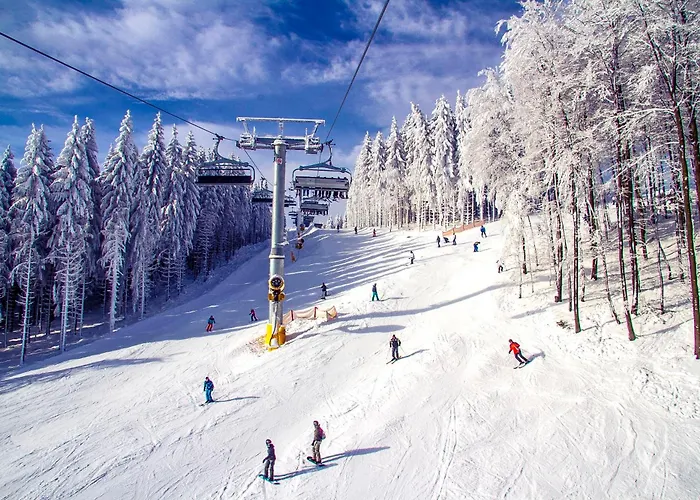 Apartment Welcome In - 'rothaarglueck' In Neuastenberg-winterberg Met Uitzicht En Terras