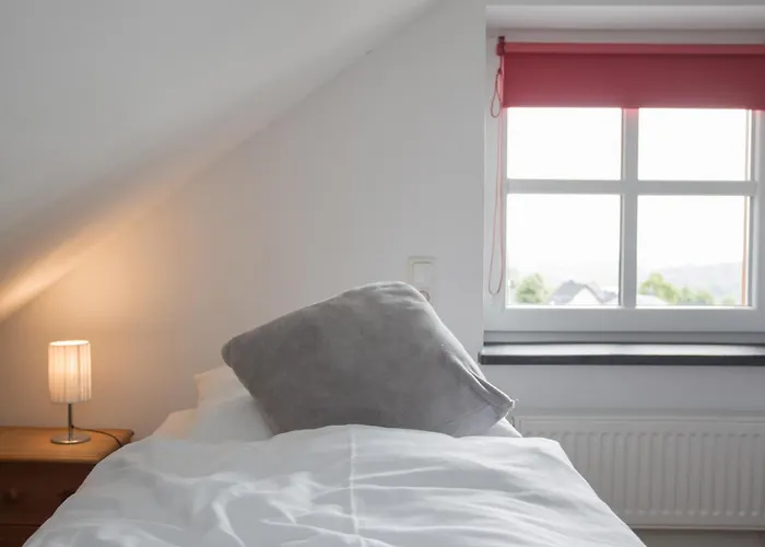 Welcome In - 'rothaarglueck' In Neuastenberg-winterberg Met Uitzicht En Terras *